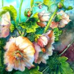 Hollyhocks
